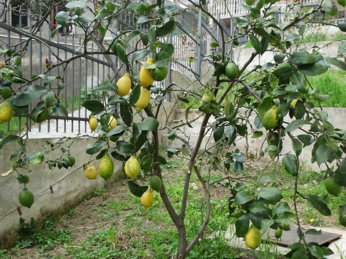 באר Green Line Guesthouse מראה חיצוני תמונה
