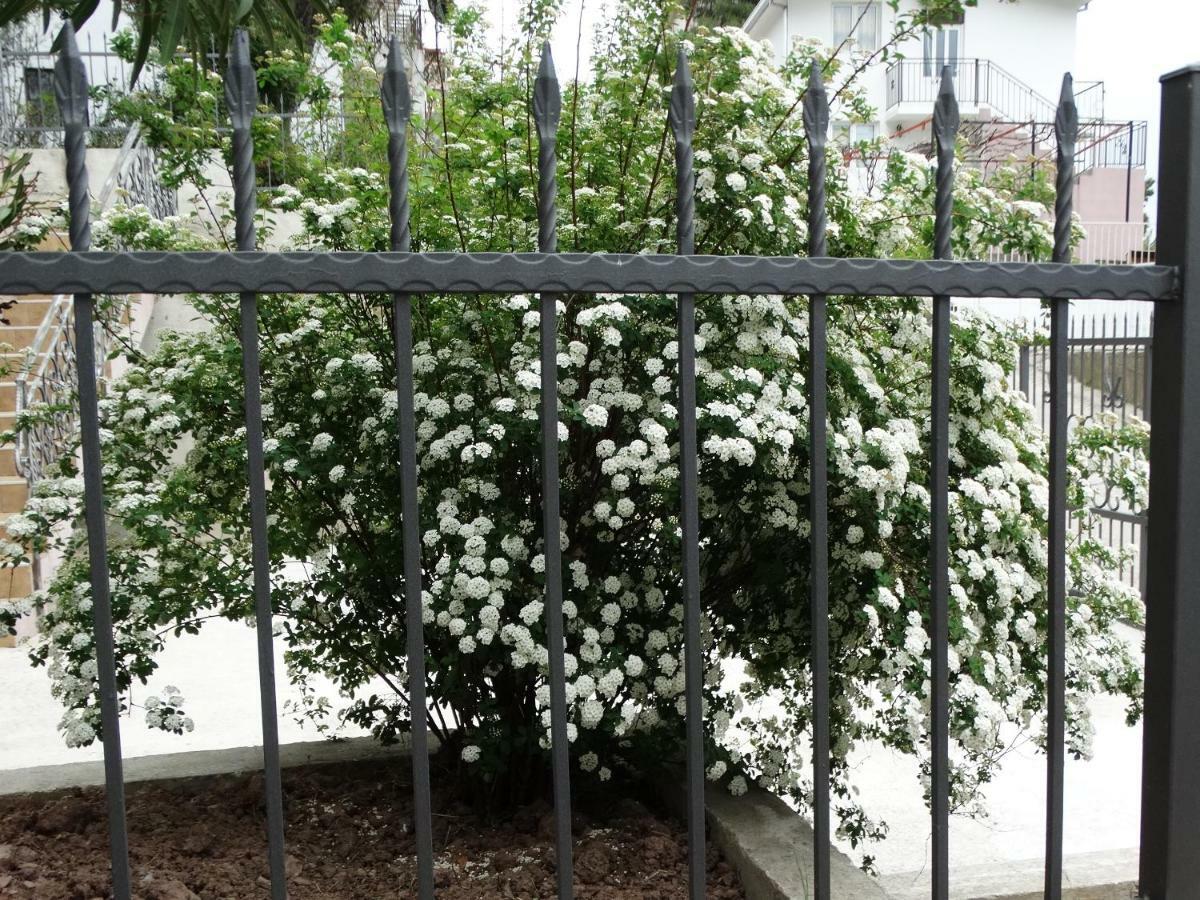 באר Green Line Guesthouse מראה חיצוני תמונה